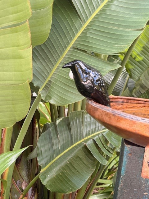 images/RS COPPER BIRD2.jpg